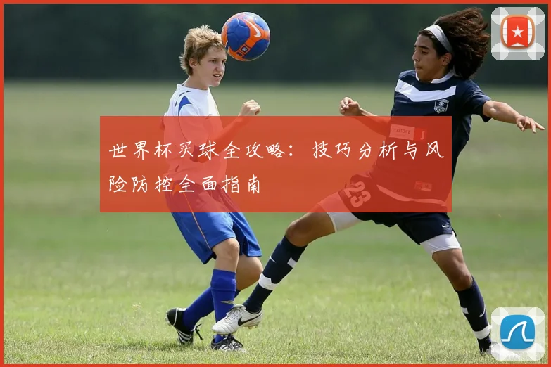 世界杯买球全攻略：技巧分析与风险防控全面指南
