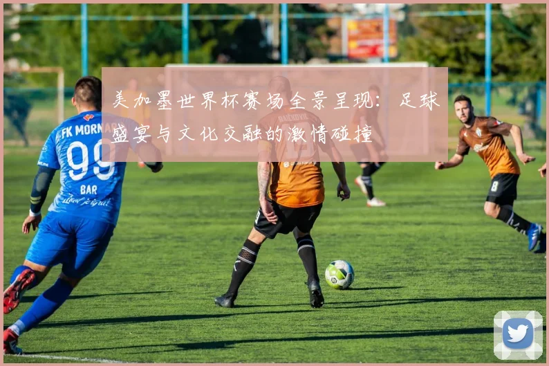 美加墨世界杯赛场全景呈现：足球盛宴与文化交融的激情碰撞