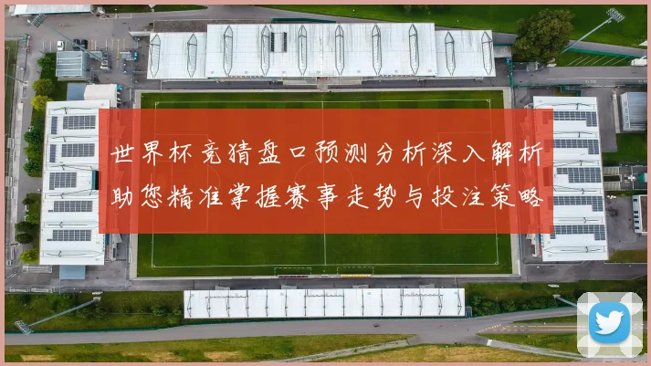 世界杯竞猜盘口预测分析深入解析助您精准掌握赛事走势与投注策略