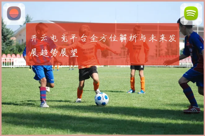 开云电竞平台全方位解析与未来发展趋势展望