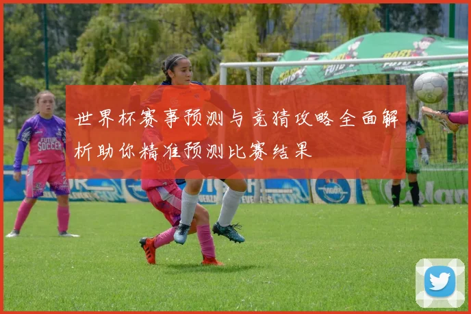 世界杯赛事预测与竞猜攻略全面解析助你精准预测比赛结果