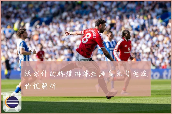 沃尔什的辉煌排球生涯高光与竞技价值解析